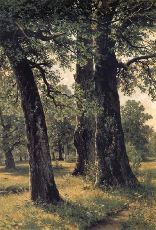  Oak